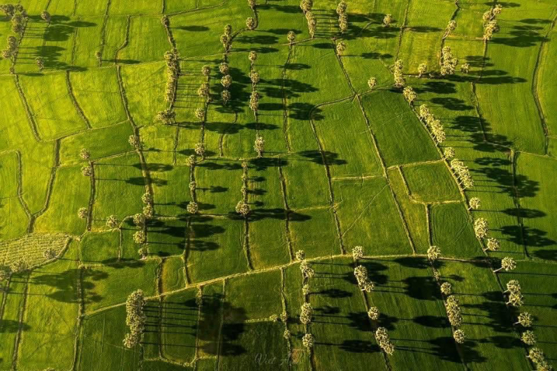 Cảnh đẹp An Giang từ flycam 📸 Dương Việt Anh