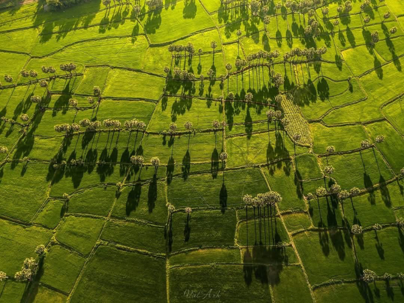 Cảnh đẹp An Giang từ flycam 📸 Dương Việt Anh