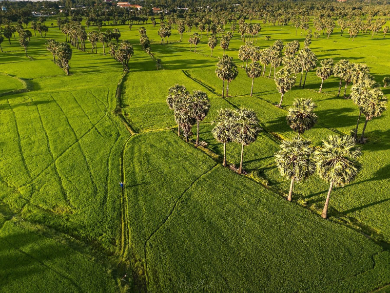 Cảnh đẹp An Giang từ flycam 📸 Dương Việt Anh