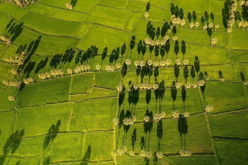Cảnh đẹp An Giang từ flycam 📸 Dương Việt Anh